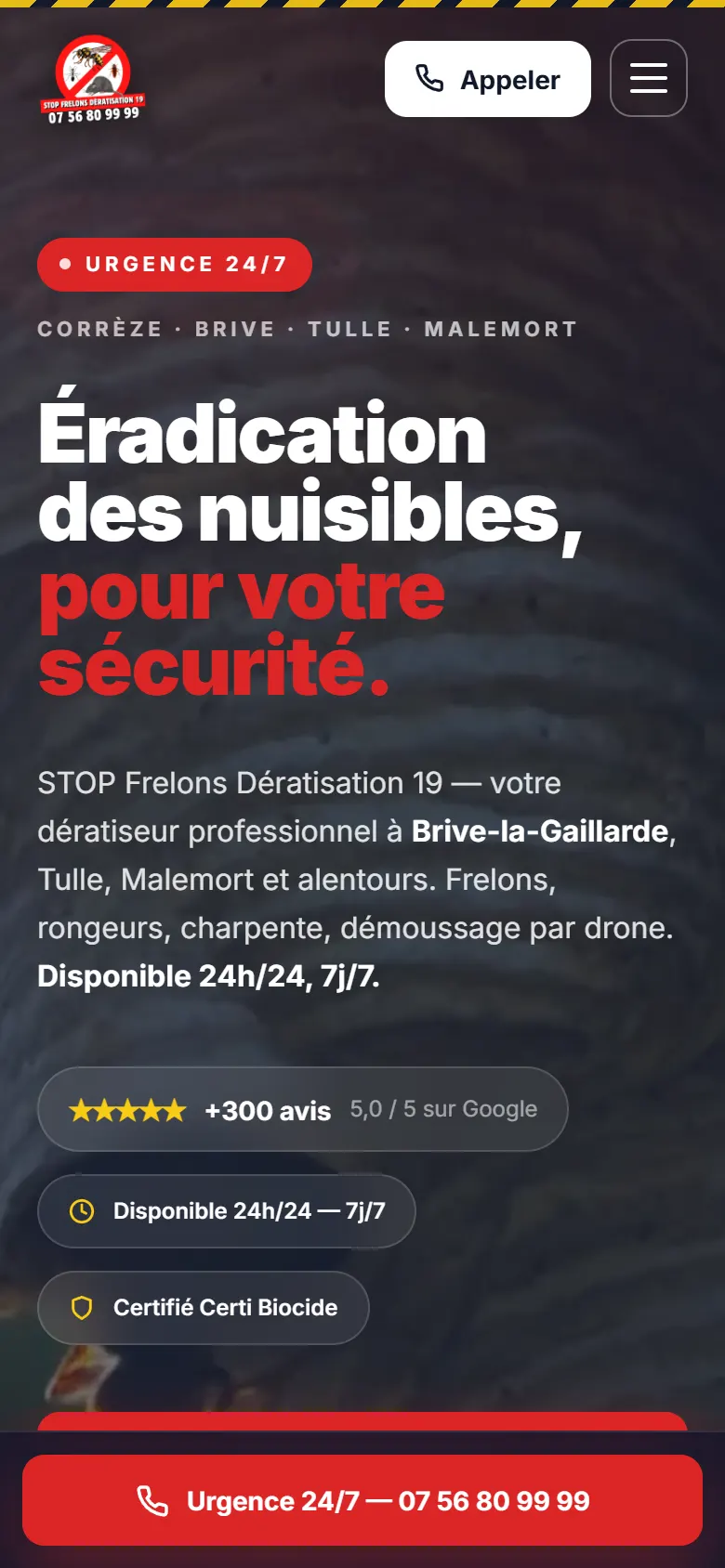 Le site de STOP Frelons Dératisation 19 affiché sur un téléphone